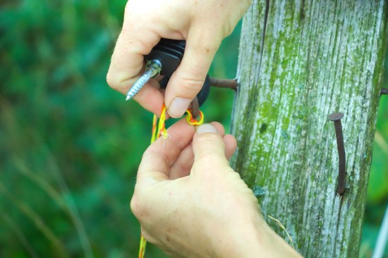 Farmer binding the wire in pasture