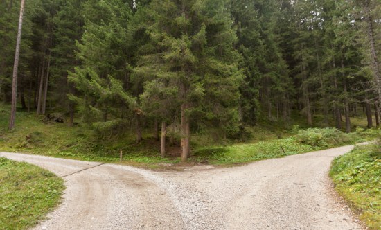A single mountain road splits in two different directions. It's an autumnal cloudy day.